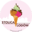 Stolica Lodów Tradycyjnych - Słodkie Zacisze Cafe - Zamkowa 8 logo