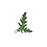 Trattoria Rucola - Stare Miasto logo