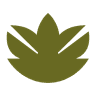 BOTANIK food & more logo