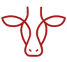 Krowa Na Szlaku logo