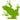 Green Frog Pierogarnia logo