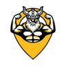 Viking Point logo