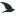 Paloma Coffee logo