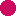 HANAMI 花見 Szczecin logo