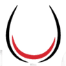 Enigma Restobar logo