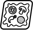 Express Pizza Krzycka logo