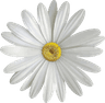Bistro Stokrotka logo